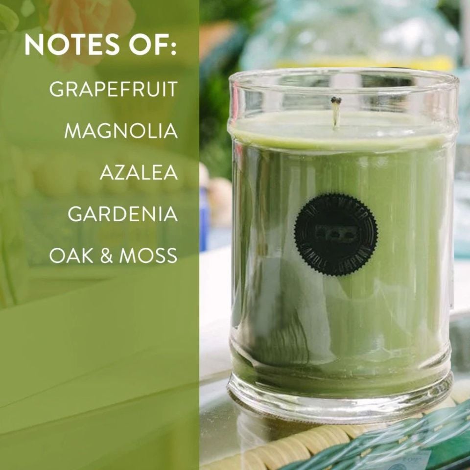 KAVANOZ MUM -  LAVENDER LANE - SMALL